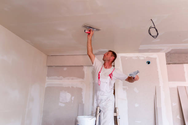 Best Drywall for New Construction  in Bee Cave, TX